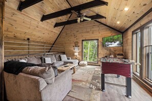 TV connectée, cheminée, jeux vidéo, lecteur de DVD