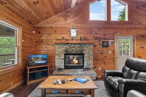 Televisión, chimenea y reproductor de DVD 