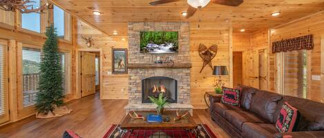 TV connectée, cheminée, jeux vidéo, lecteur de DVD