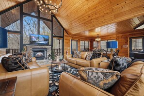 Tv, pejs, dvd-afspiller