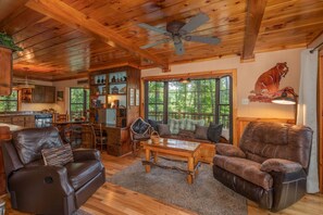 TV, fireplace, video games, DVD player