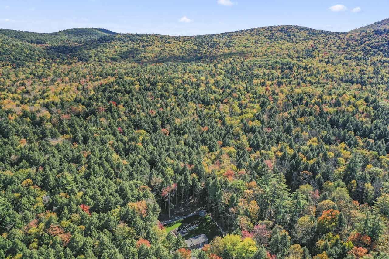 A forested landscape with a clearing and a small building, likely a cabin or lodge.