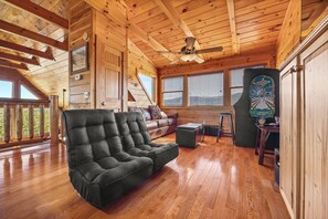 TV, fireplace, video games, DVD player