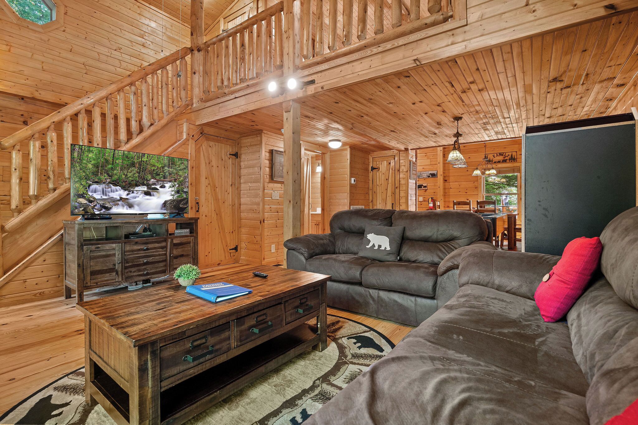 TV, fireplace, video games, DVD player