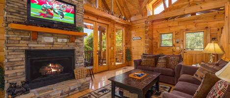 电视、壁炉、DVD 播放器