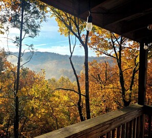 Property grounds - Come getaway to a cabin in the Moonlit Pines (SEVIERVILLE)