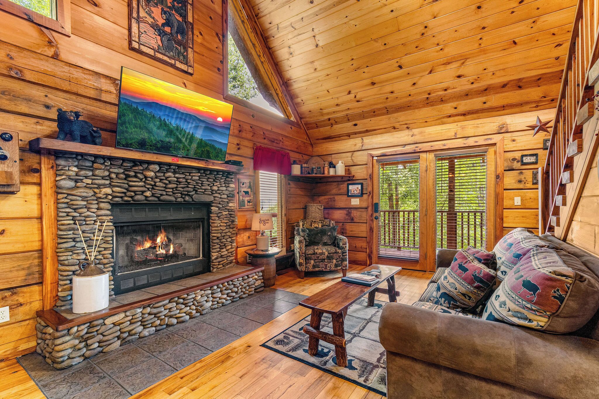 TV, fireplace, DVD player