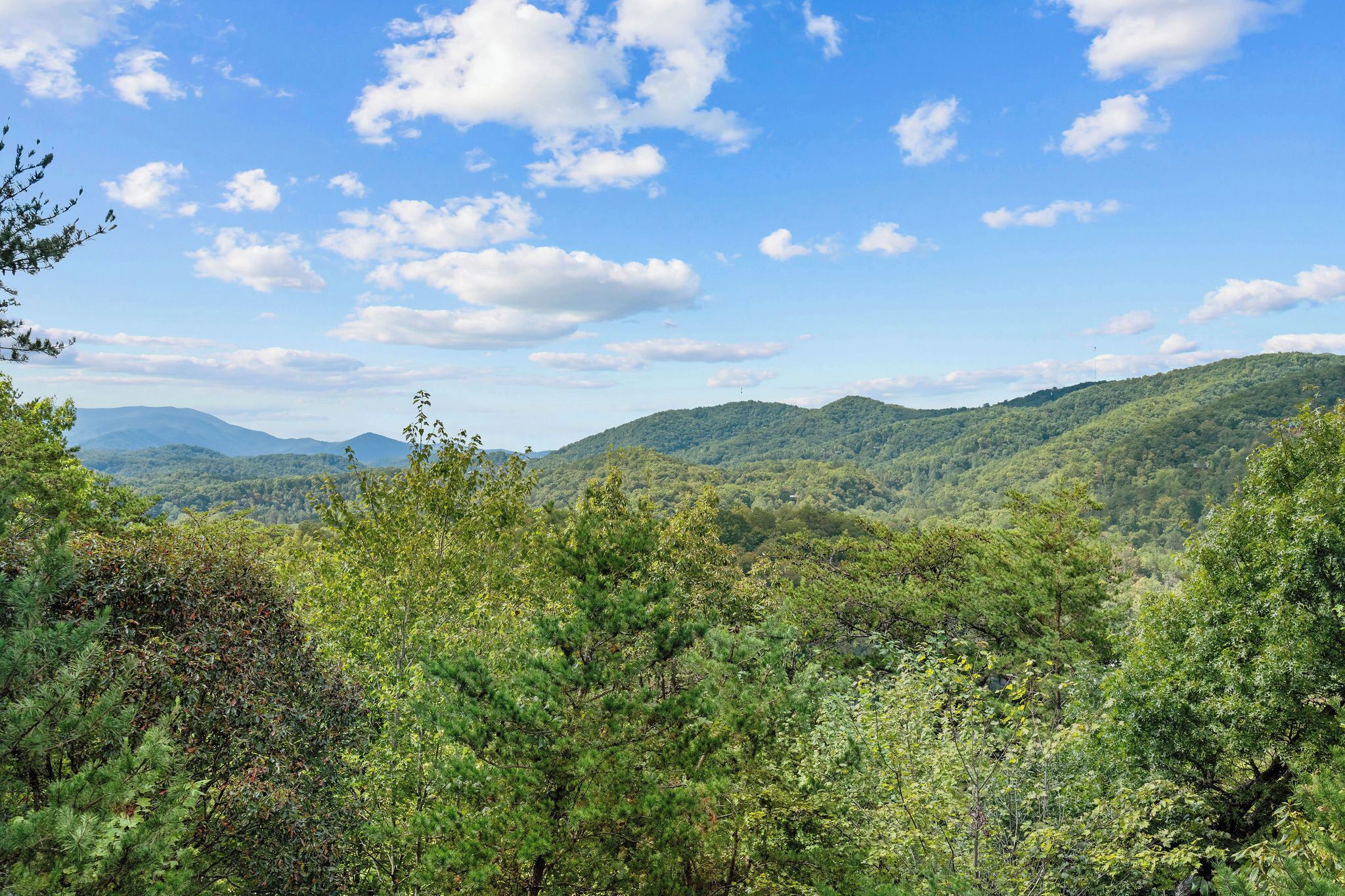 A mountainous landscape with dense forest and clear blue sky.