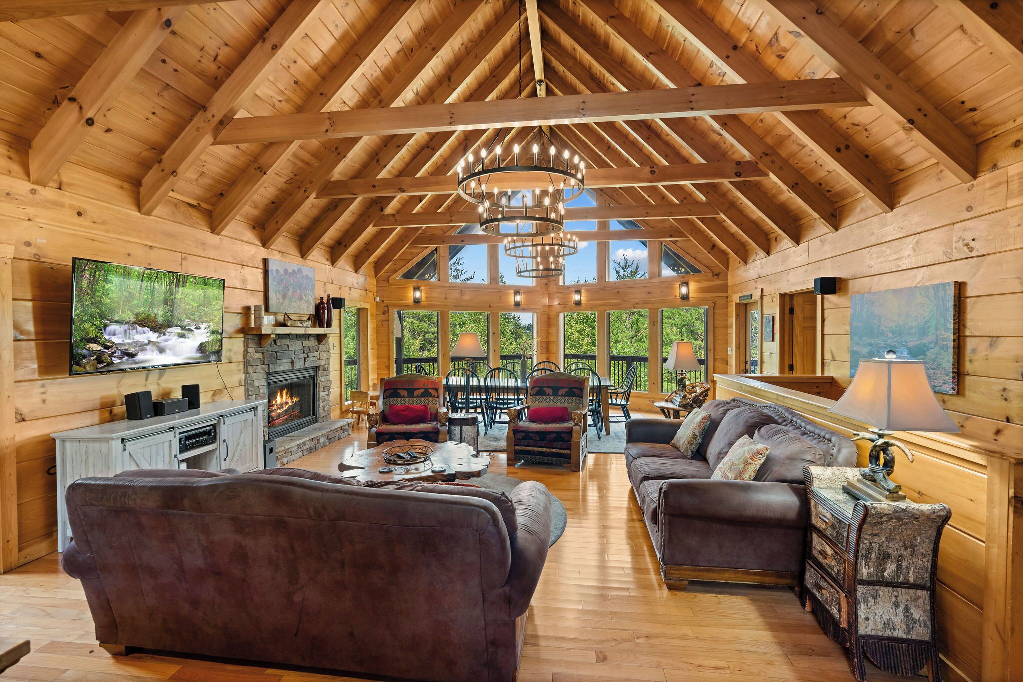 电视、壁炉、电子游戏、DVD 播放器