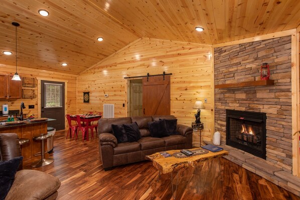 TV connectée, cheminée, jeux vidéo, lecteur de DVD