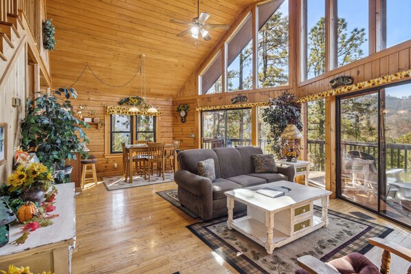 TV, fireplace, DVD player - Get Away From The Grind For Some Tlc (PIGEON FORGE)