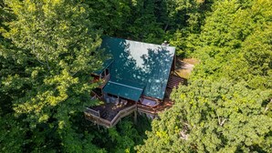 Eine erhöhte Holzkonstruktion mit grüner Dachbegrünung, umgeben von dichtem Wald.
