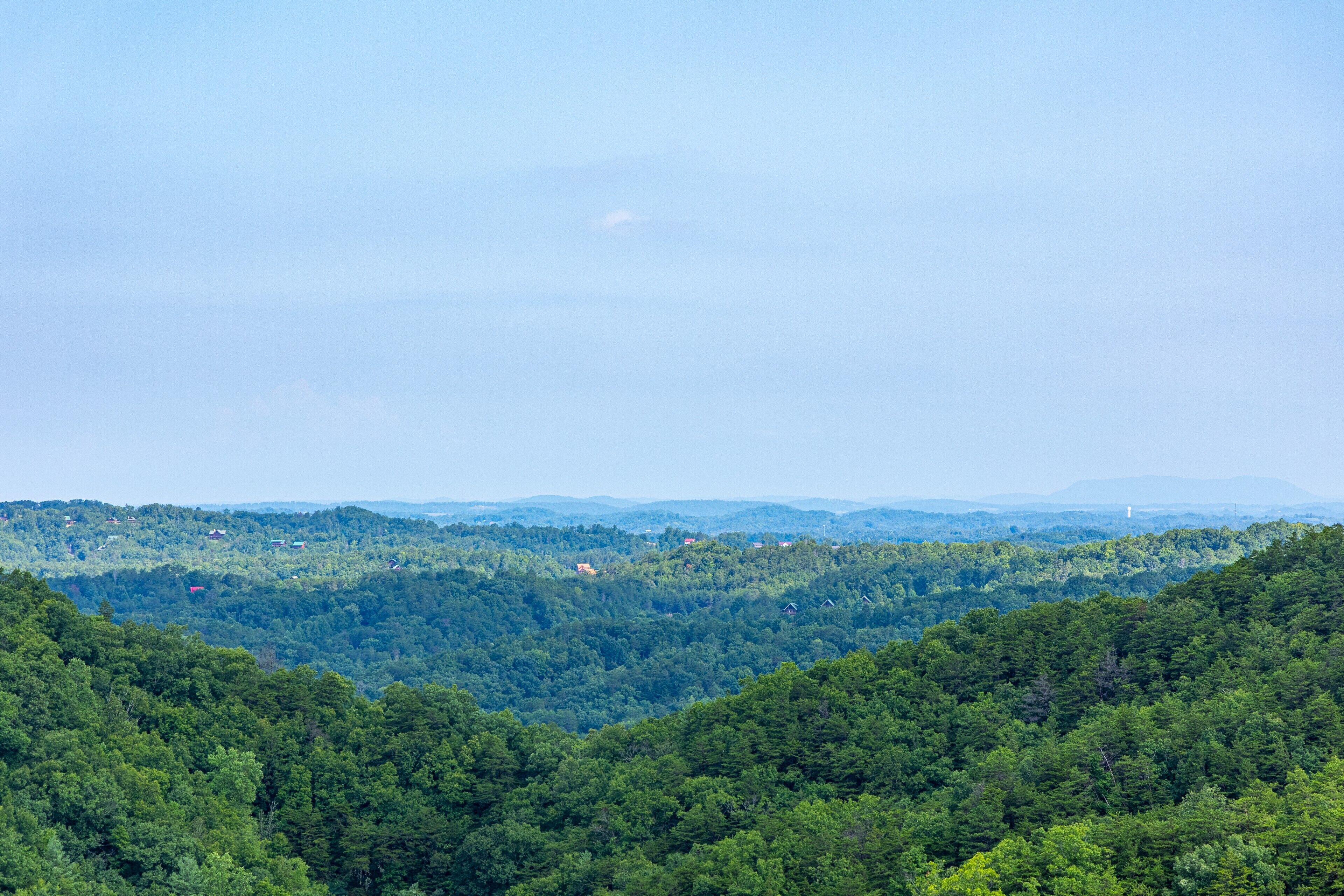 A panoramic view of a forested landscape with scattered buildings.