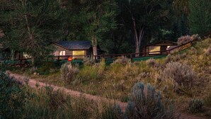Una cabaña con un ventanal grande, rodeada de un bosque frondoso y hierba alta.