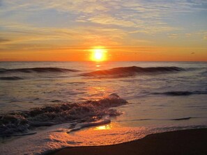 Beach - Charming Private Home Near VB Boardwalk! (Virginia Beach)