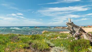 Playa en los alrededores