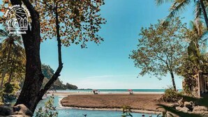 A beach scene with clear skies, a calm sea, and a rocky shoreline.
