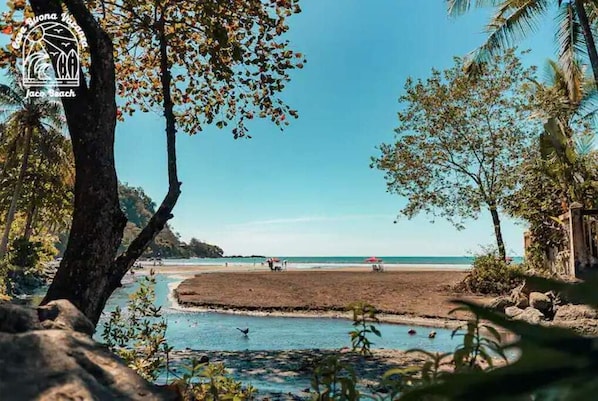 Chaises longues, serviettes de plage