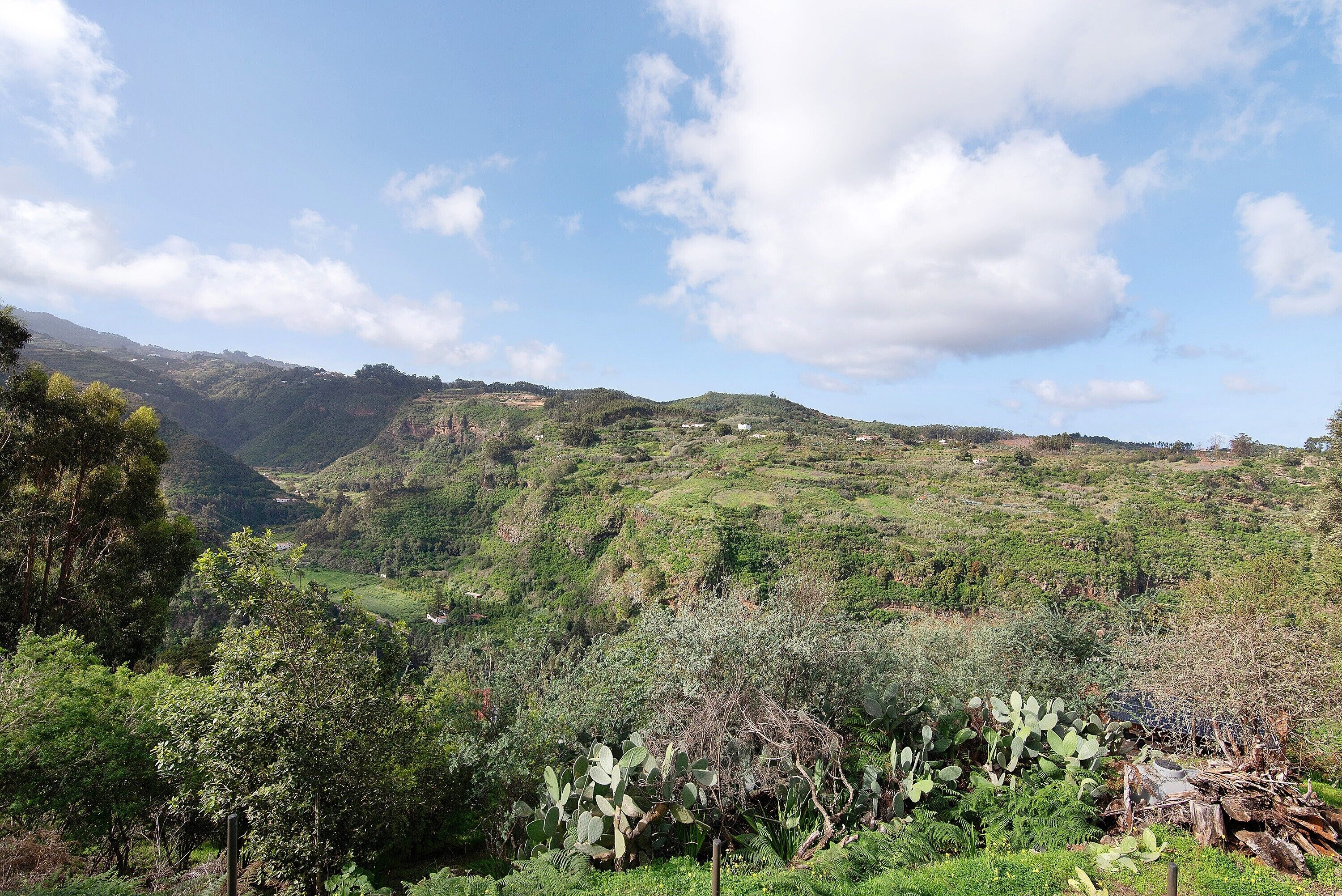 Un paisaje montañoso con vegetación y cielo despejado.