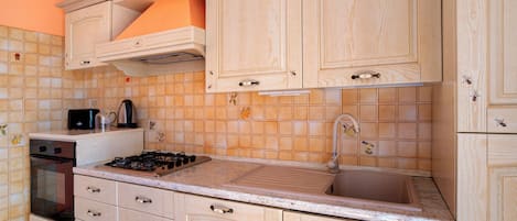 Fridge, oven, stovetop, dishwasher