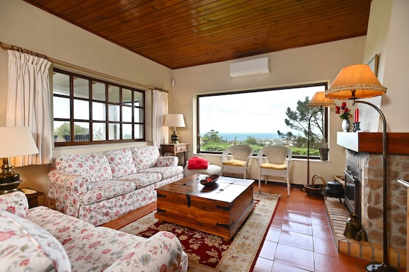TV, fireplace, DVD player