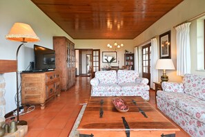 TV, fireplace, DVD player
