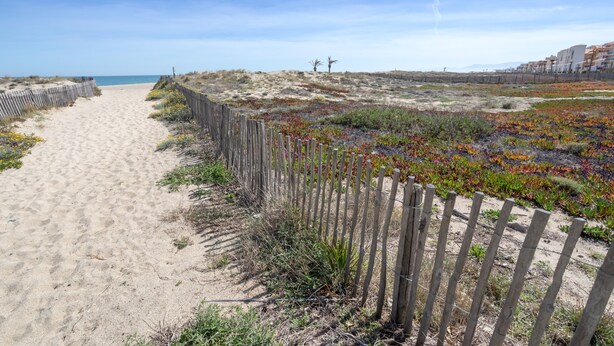 Un sentier de sable bordé d’une clôture en bois, qui mène à une zone de dunes à la végétation clairsemée, d’où l’on a une vue dégagée sur l’océan.