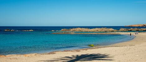 بالقرب من الشاطئ