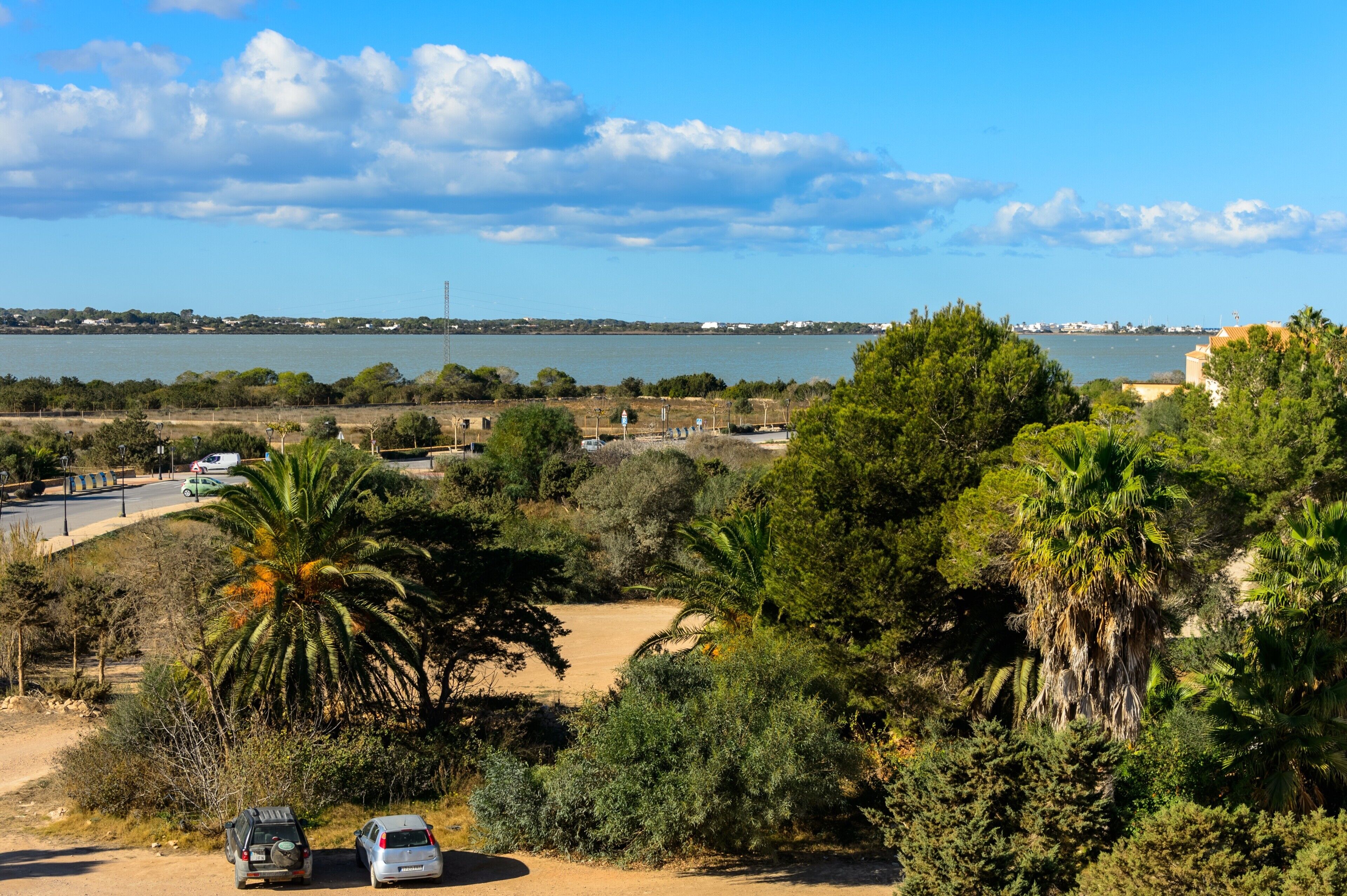 A coastal landscape with a road, parked cars, and dense greenery.