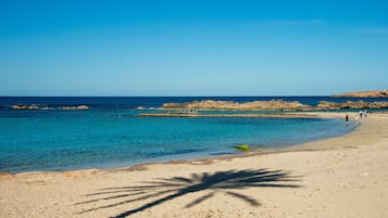 Playa en los alrededores
