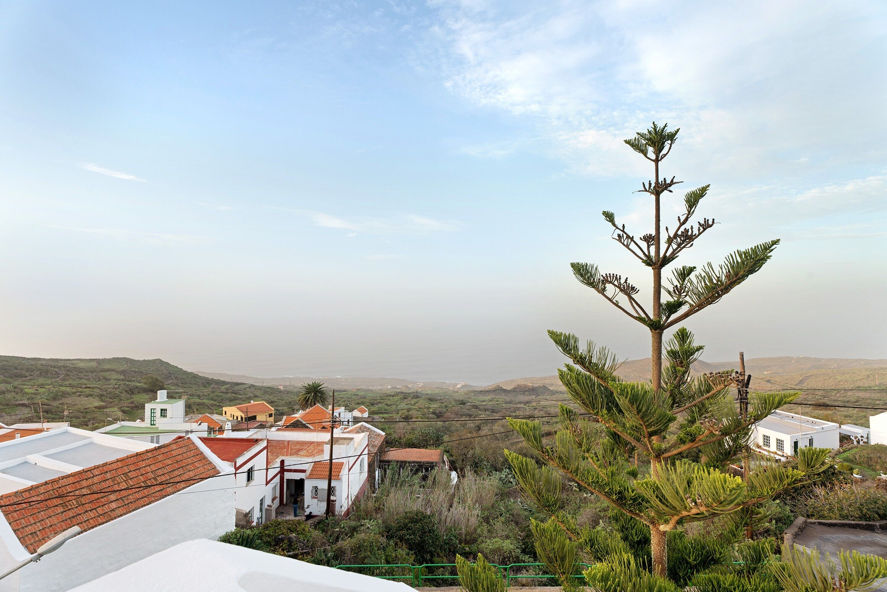 Zona residencial con casas, un árbol destacado y una vista distante de colinas.