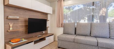 TV, ping pong, stereo