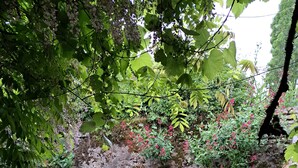 Ein gepflasterter Innenhof mit Kiesweg, ein Backsteinhaus mit Rundbögen und üppiger Bepflanzung.