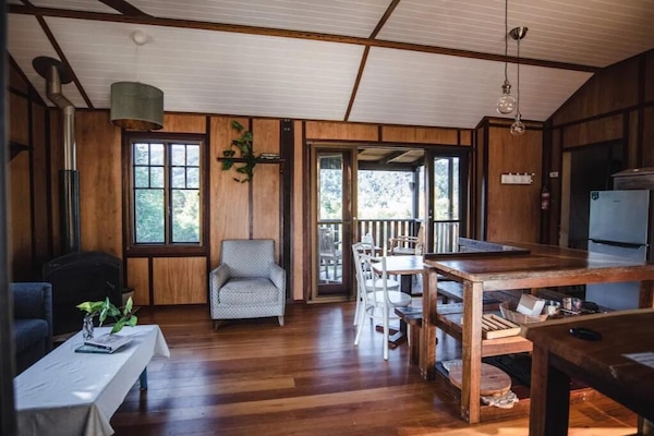 TV, caminetto, lettore DVD, libri