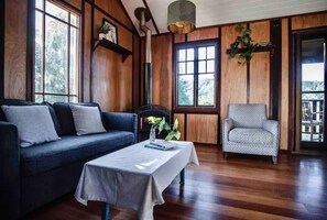 TV, fireplace, DVD player, books