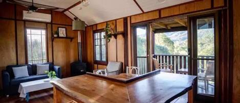 TV, fireplace, DVD player, books