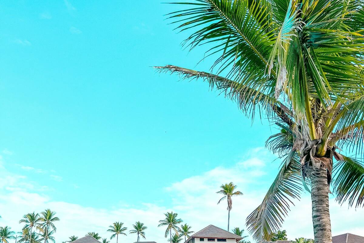 A large, multi-story house with a swimming pool, surrounded by a well-maintained lawn and palm trees.