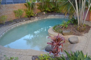 A curved swimming pool with a brick border, surrounded by plants and rocks. - Lamer 5 Beachfront Apt Mooloolaba (Maroochydore)