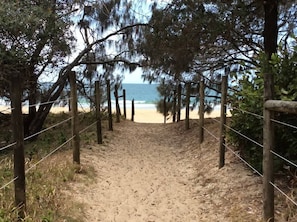 A sandy beach path leading to the ocean, surrounded by trees and a wooden fence. - Lamer 5 Beachfront Apt Mooloolaba (Maroochydore)