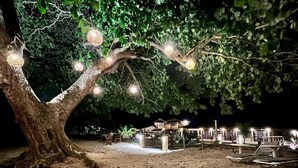 A tree with hanging lights, a sandy beach, and a building with multiple rooms.