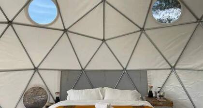 Summer Rustic Camping with AC and King Bed