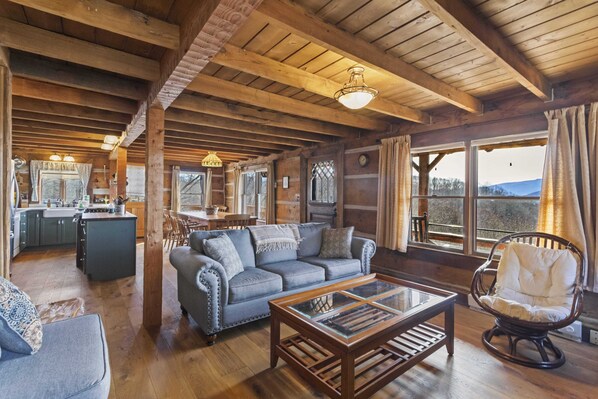 TV, fireplace, DVD player, books