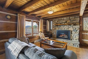 TV, fireplace, DVD player, books