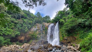 A waterfall surrounded by lush greenery and rocky terrain.