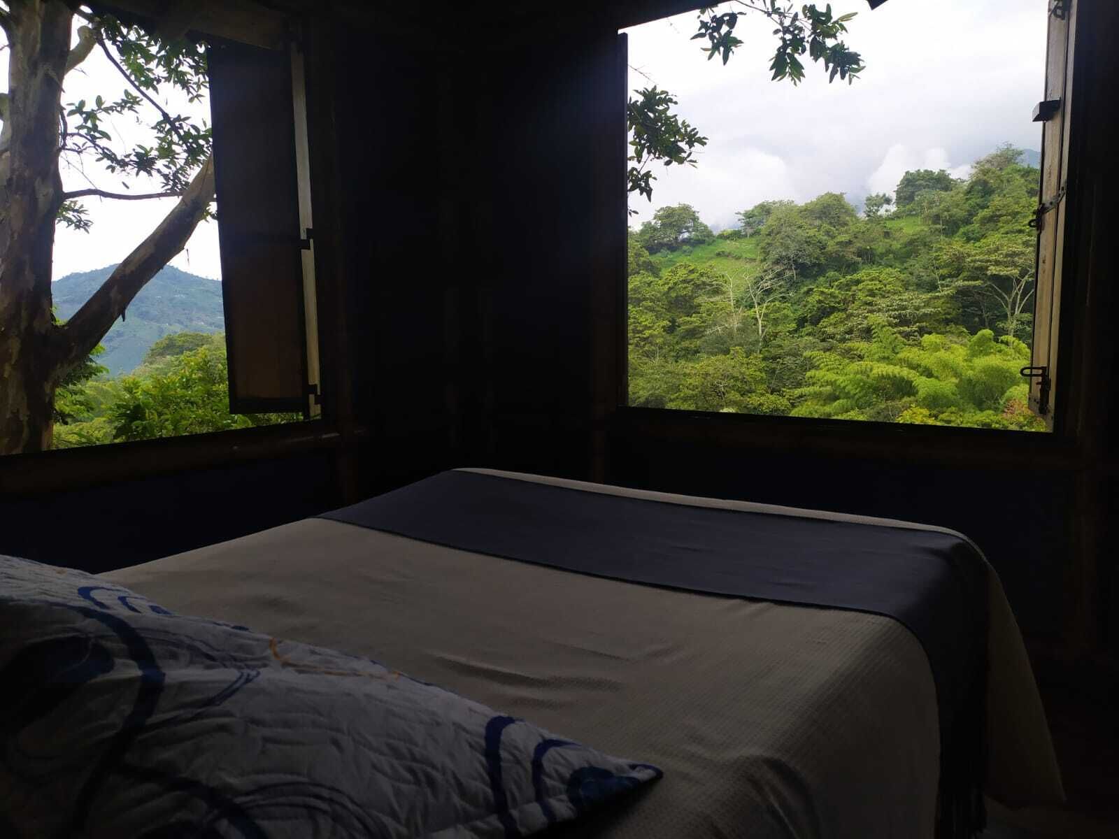 A room with a bed, a window, and a view of a forested landscape.