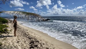 Ein Strand mit einer Person, die in der Nähe einer Palme steht, Wellen schlagen an das Ufer und der Himmel ist klar.