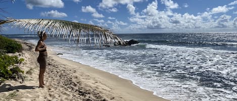 ビーチ、サンラウンジャー、ビーチタオル