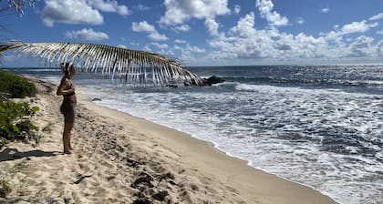 Villa design sur la plage.