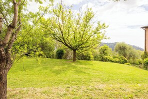 Property grounds - Beautiful private villa with WIFI, TV, patio, pets allowed and panoramic view, close to Viareggio (Camaiore)