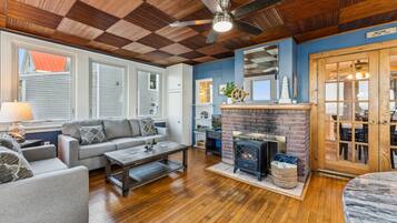 Smart TV, chimenea y libros